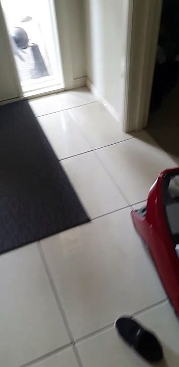 Exercise Machine Shakes Laughter Loose