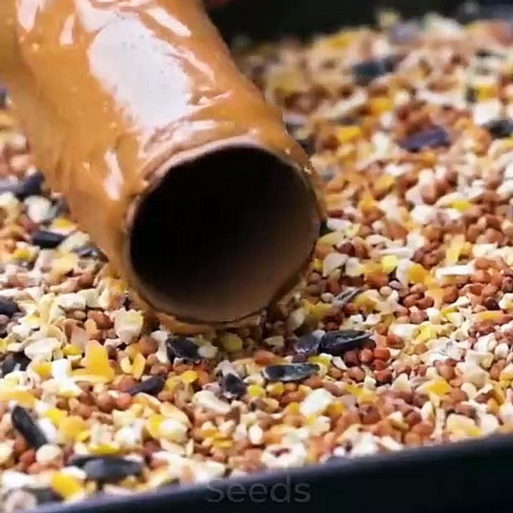 Do it YourSelf Videos 162