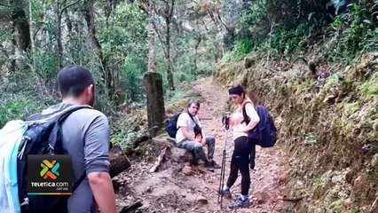 tn7-chirripo-reabre-este-viernes-281020