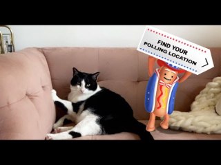 Snapchat’s dancing hot dog returns for Election Day