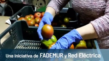 RADARSERES 2020 concluye con los Premios SERES