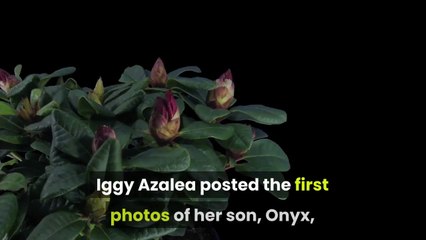 Iggy Azalea shares first photo of her son and says she's raising him