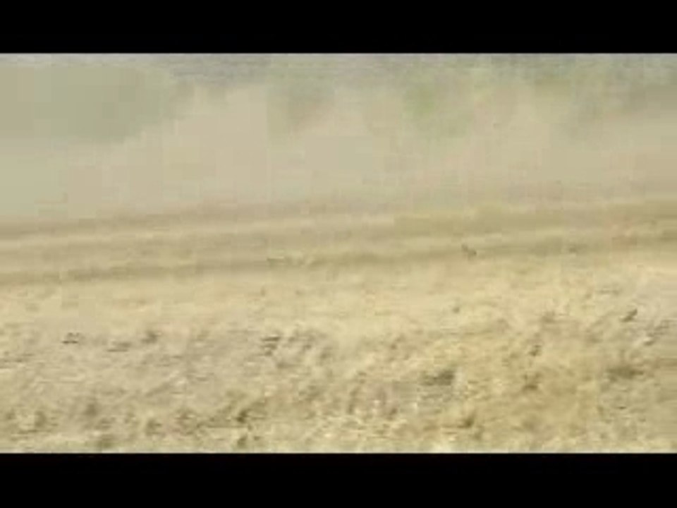 Semi Trailers In A Gravel Pit