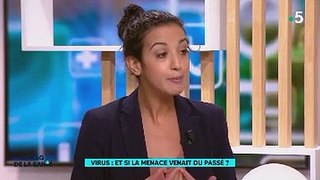 Virus et écologie