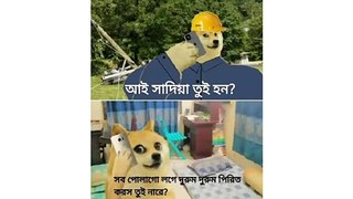 Bangla Troll || বাংলা ট্রল || Bangla Funny Troll Photos Showing That Daily you laugh