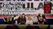 ¿Qué Pasó Con? - La consulta popular convocada por la AN - VPItv