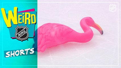 Weird NHL Shorts: Pt. 24 - Golden Knights, Stars keep it weird
