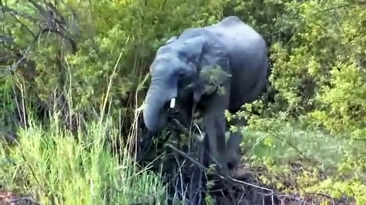 ZIMBABWE_2014