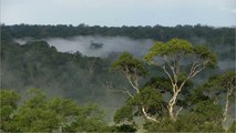 Indigenous Group In Amazon Drop In Body Temperature