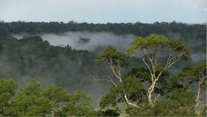 Indigenous Group In Amazon Drop In Body Temperature