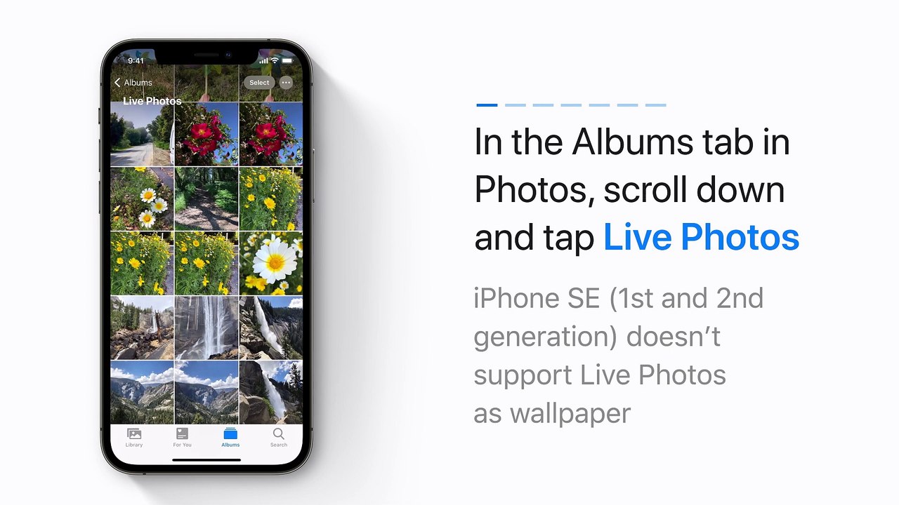 Comment utiliser une Live Photo comme fond d'écran sur iPhone — Apple Support