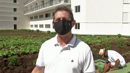 30 hoteles de lujo en Varadero tienen huerto