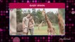Pregnant Bindi Irwin Says 'Baby Bump Is Getting Bigger' in Sweet Snap with Husband Chandler Powell