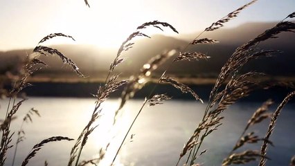 God's Word Changes Lives - Maranatha Sisters