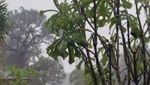 SONIDO DE LLUVIA RELAJANTE