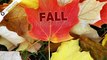 Must-Haves to Be Happy and Healthy This Fall