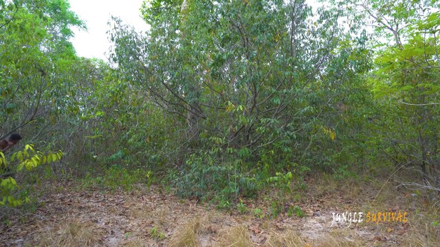 Build the Most Amazing Underground Villa and Underground Swimming Pool Building