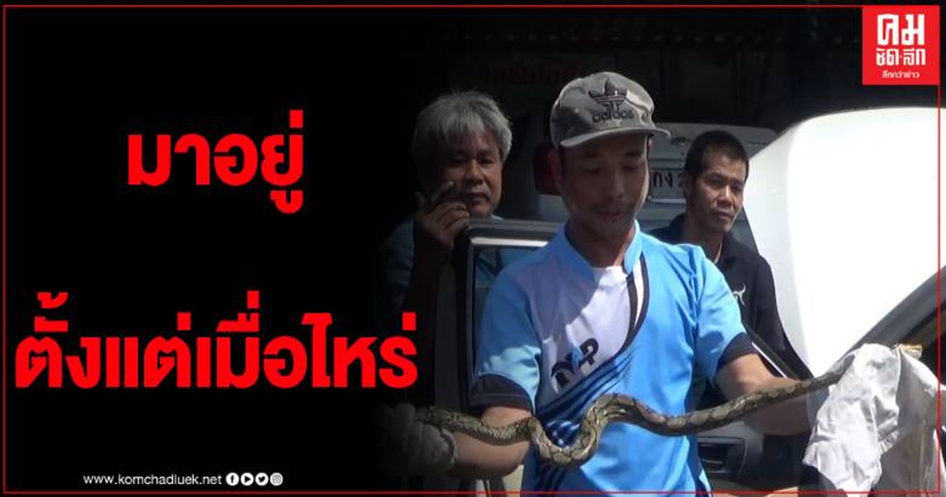 หนุ่มวัย 33 ปี พบมูลสัตว์ปริศนาในรถ ช่างแกะดูผง...