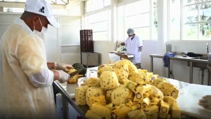 Historias de construcción de paz: una fruta es el motor de la paz en La Montañita