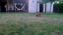 Camila jugando