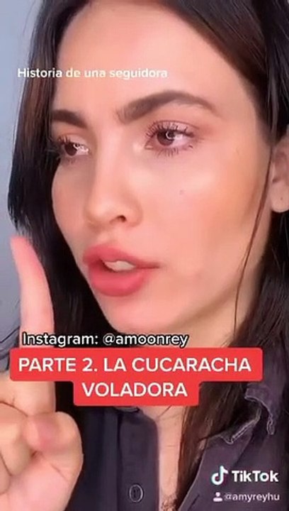 Story time: La cucaracha voladora. Amyreyhu.