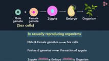 Fertilisation and Post-fertilisation Changes in the Flower