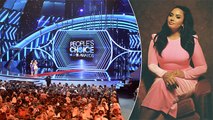 Demi Lovato To Host People’s Choice Awards 2020