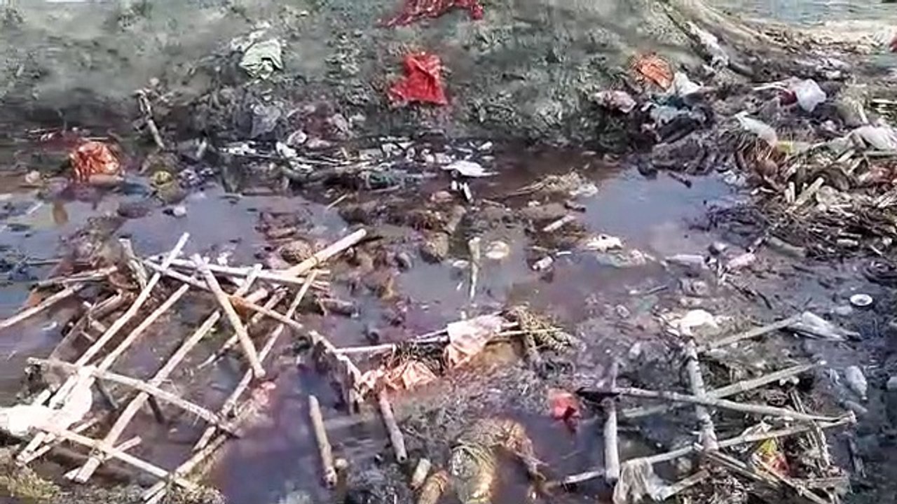 अम्बेडकर नगर-शासन प्रशासन की लापरवाही, किसी तरीके बची भैंस की जान