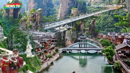 Tại sao xung quanh thi thể Tần Thủy Hoàng treo đầy bào ngư?