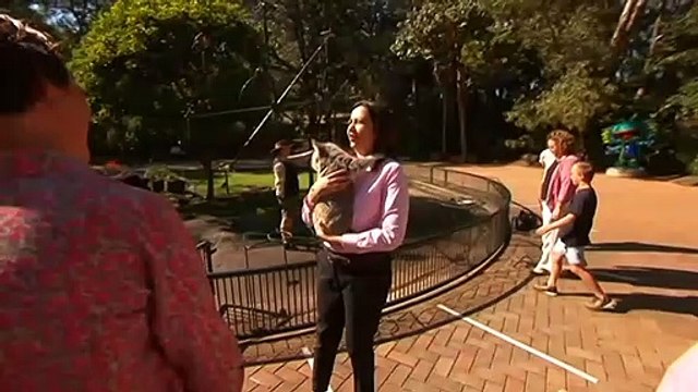 ALP ramps up efforts to snatch coastal seats from the LNP