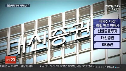 펀드 사태, 증권사만 책임?…"금감원 공익감사 청구"