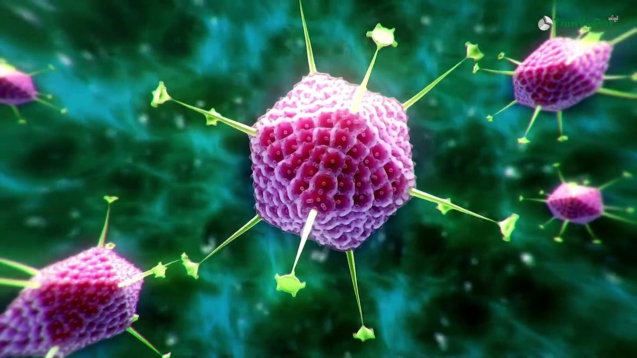 Mutation Virus ဟာ ကြောက်စရာကောင်းသလား? | ThinYuPar