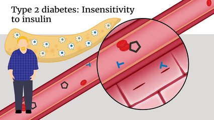 Introducing diabetes