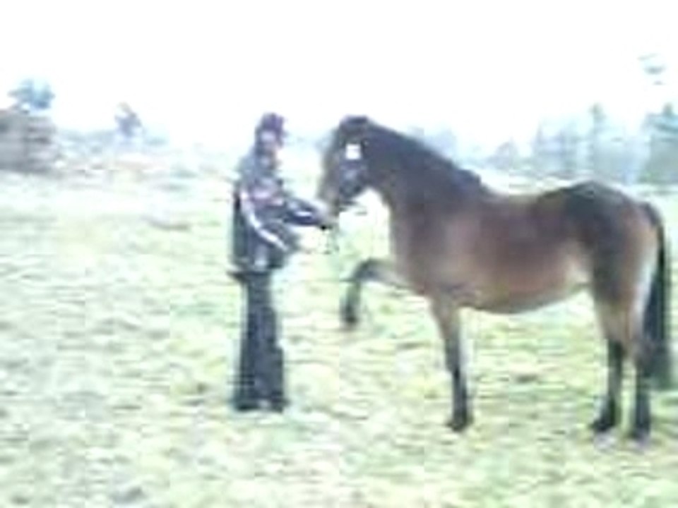 Carmen