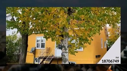 Quadruplex - à vendre - Val-d'Or - 18706749