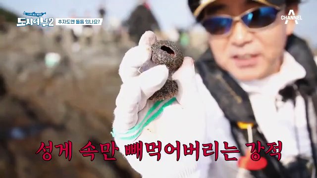 명인을 끌고 가버리는 괴수;; 초대형 입질로 박 프로를 낚은 건 분명 돌돔..?!