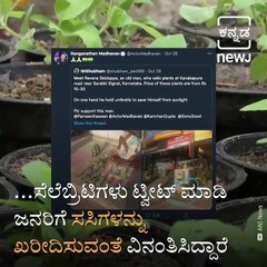 Outpouring Of Social Love For 79-yr-old Man Selling Plants