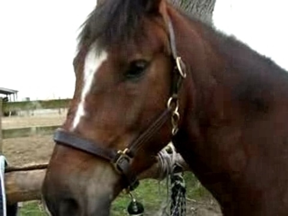 2008_0221-MettrayMGX-0027