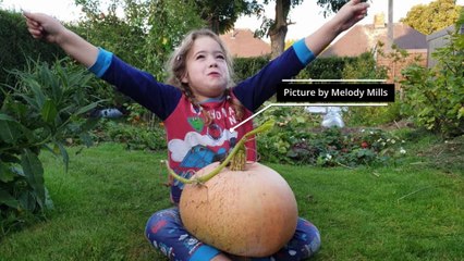 Star Halloween readers pumpkin pictures