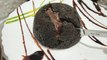 Oreo = Lava Cake  | how to make Oreo choco lava cake? | OP Girl's Kitchen