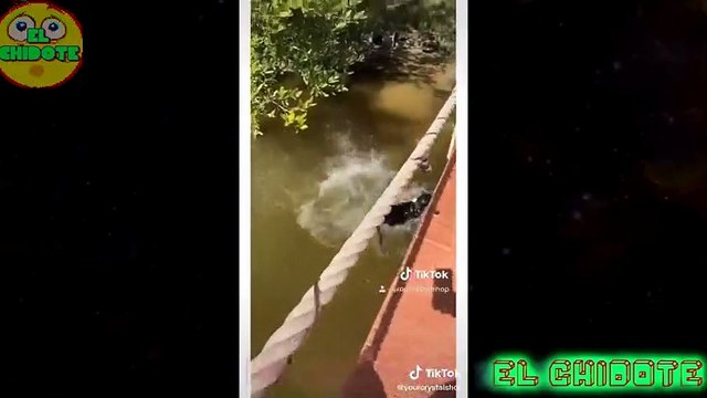 SI TE RÍES PIERDES NIVEL MUY DIFÍCIL �99 IMPOSIBLE NO REÍR ⭐ ✅ Mejores vídeos de risa _18(480P)_1