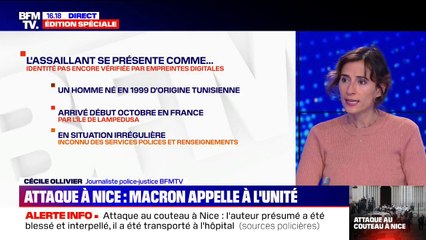Attentat de Nice: l'assaillant se présente comme un homme de 21 ans, d'origine tunisienne, arrivé début octobre en France