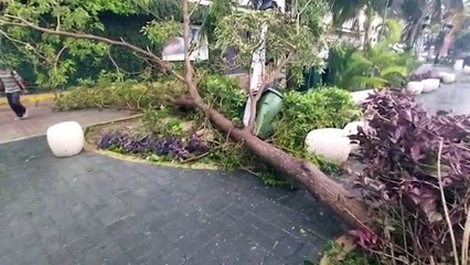 La Niña pode ser forte neste ano