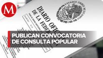Publican en DOF convocatoria de consulta sobre juicio contra actores políticos