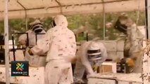 tn7-ataque-de-abejas-causa-muerte-de-hombre-291020