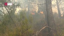 Incendio forestal en la localidad de Bejís, Castellón