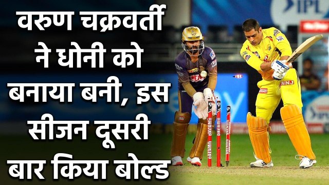 IPL 2020 CSK vs KKR: MS Dhoni को Varun Chakravarthy ने दूसरी बार किया बोल्ड | वनइंडिया हिंदी