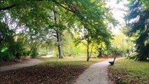 A Walk Through a Lovely 19th Century Botanical Garden in Zagreb, Croatia
