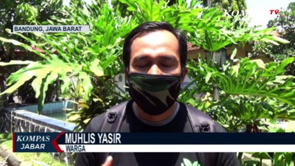 Menanam Sayuran, Di Lahan Terbatas