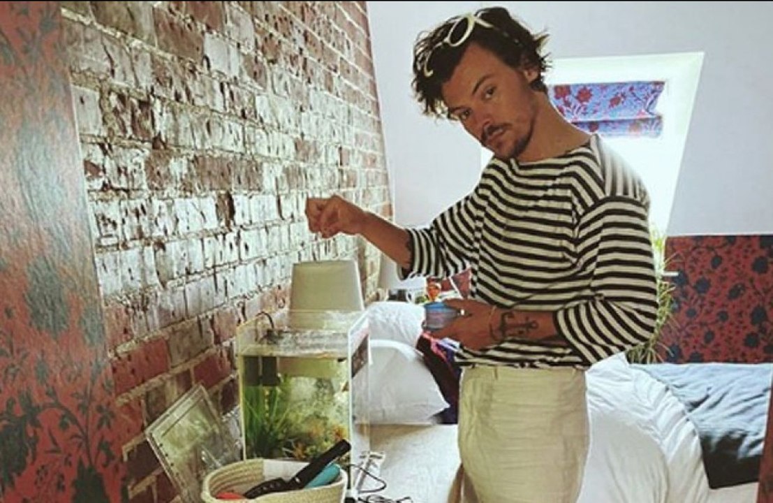 Styles' sweet surprise: Harry Styles surprises superfan after being welcomed to her home